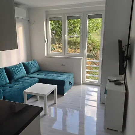 Daire Krezovic Vlasenica